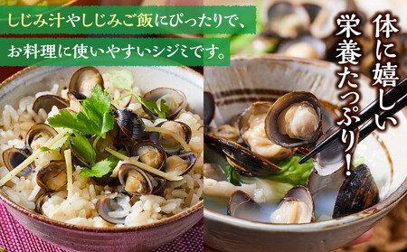 漁師直送！宍道湖産ヤマトシジミ・希少なLLサイズ・冷凍2kg