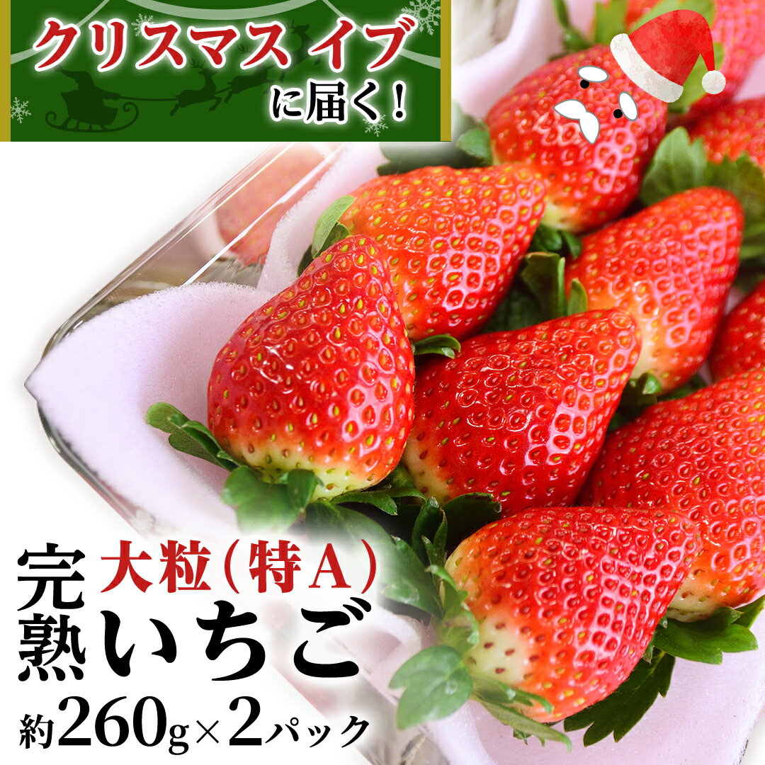 【ふるさと納税】クリスマス イブ （ 12月24日 ）に 届く！ 完熟 いちご 2パック！ （1P 260g ） 数量限定 完熟いちご やよいひめ かおり野 とちおとめ 国産 いちご イチゴ 苺 旬のいちご 贈り物 果物 フルーツ 茨城県産 KEK