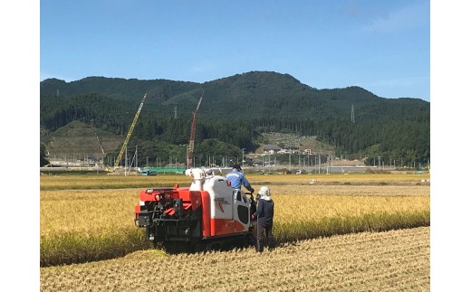 寄附金額改定 令和7年産 ひとめぼれ 5kg 陸前高田市産 石川製油 【 米 お米 今摺り米 おにぎり お弁当 食品 クリーン白米 無洗米相当 】 RT2268