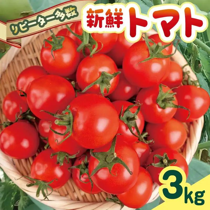 【ふるなびWEEK対象】 【先行受付】 新鮮トマト 3kg 【安田町産】 ｜ トマト TR-04