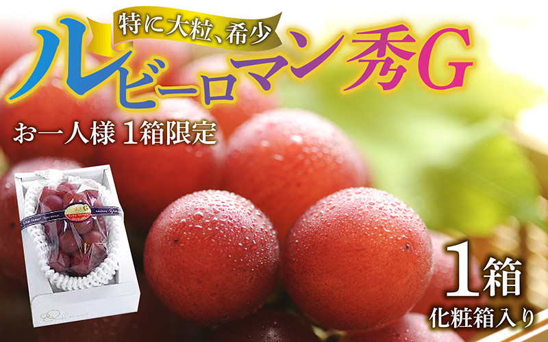 
            【先行予約】【2026年収穫分】  ルビーロマン 秀G（1箱）【2026年8月中旬以降順次発送】 ｜希少 貴重 数量限定  ぶどう ブドウ 葡萄 種なし ジューシー 甘い 大粒 大きい  宝石 るびー ギフト かほく市 能登 入口
          