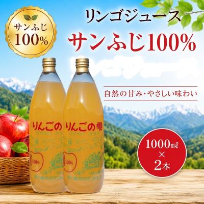 ふるさと納税 小川村 サンふじりんご100%ジュース1L2本*201