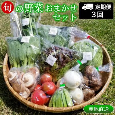 ふるさと納税 北広島町 【毎月定期便】【毎月届く】季節野菜 道の駅直送おまかせセット さんさん市全3回