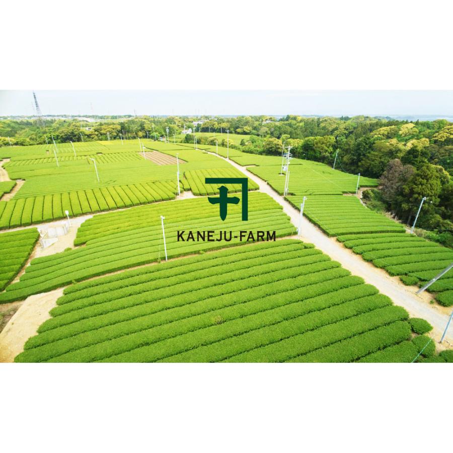 ＜カネ十農園＞水出しカネ十アールグレイボトルセット5g×7個