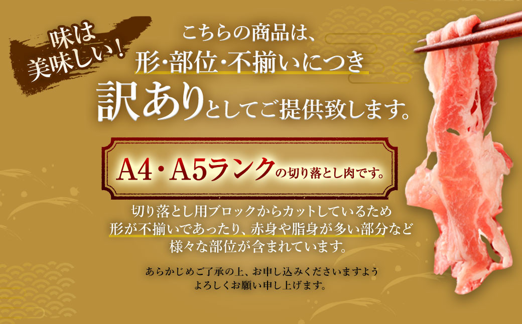 【数量限定 訳あり】【A4・A5】 博多和牛 切り落とし 合計約900g 牛肉 和牛 肉 お肉 国産 冷凍 岡垣町