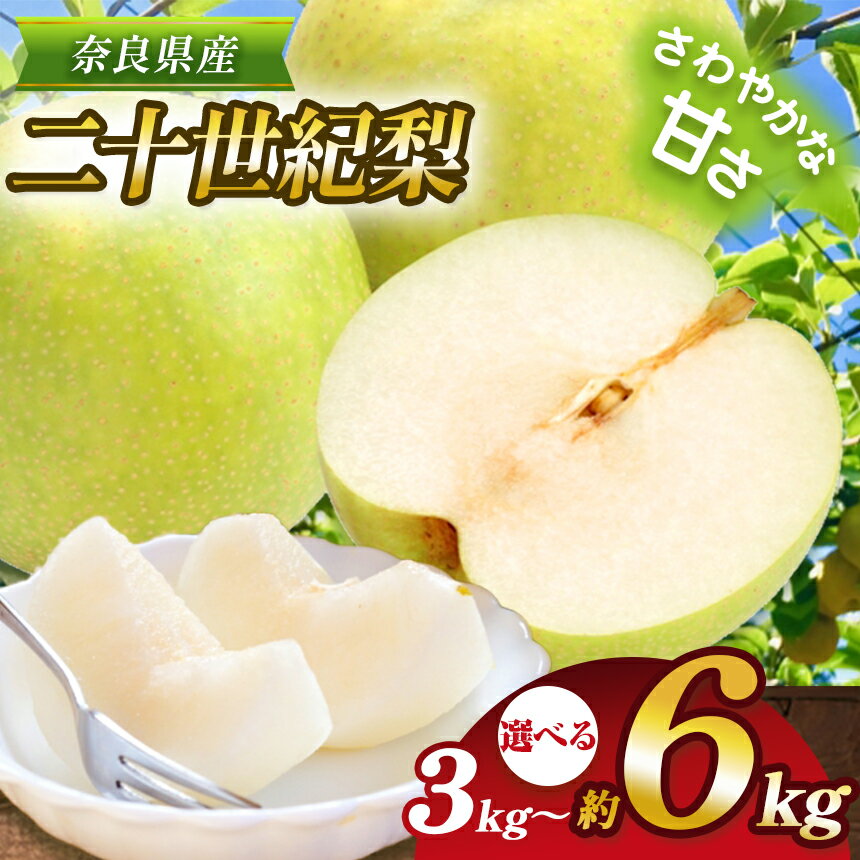 【ふるさと納税】【選べる】二十世紀梨《約3kg or 約4kg or 約6kg 》 | フルーツ 果物 甘い ジューシー なし くだもの 梨 二十世紀梨 産地直送 農家直送 大阿太高原 真田園 奈良県 大淀町 メディア紹介
