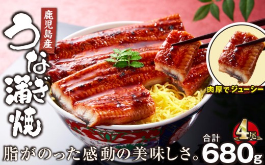 【土用の丑の日特集】2444 鹿児島産うなぎ 合計680g（170g×4尾） 清らかな地下水育ち！　KN021-014-04