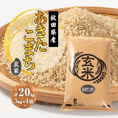 ふるさと納税 大潟村 【毎月定期便】あきたこまち 玄米 20kg(5kg×4袋)全12回