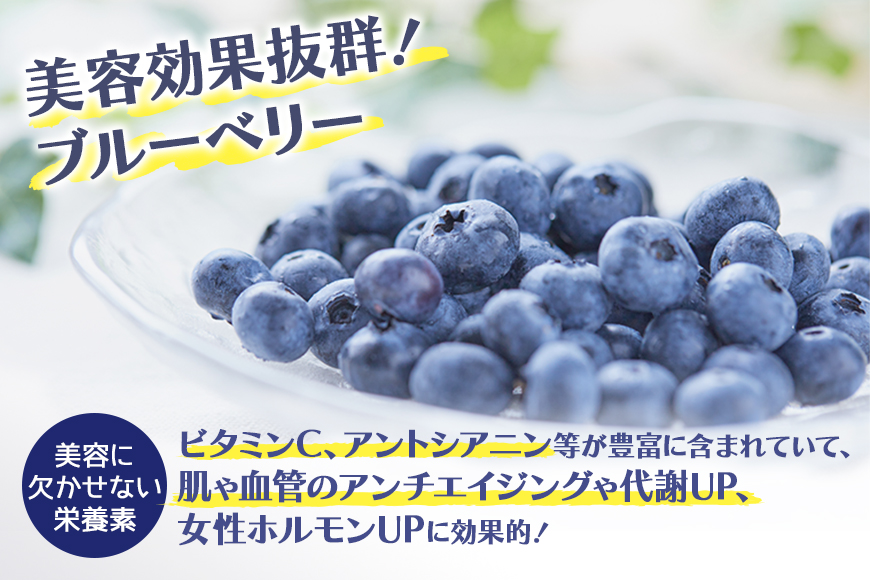 濃縮100％ブルーベリードリンク