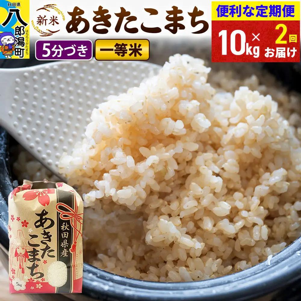 《新米》《定期便2ヶ月》あきたこまち 一等米 10kg【5分づき】 令和8年産 秋田県産 こまちライン