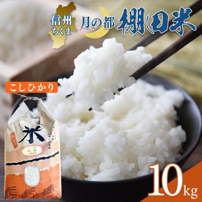 ふるさと納税 千曲市 【令和7年産】棚田米 こしひかり 白米 10kg