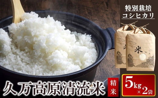 
【先行受付】コシヒカリ5kg×2袋 計10kg（精米） ｜ 久万高原清流米 特別栽培 ※2024年9月中旬頃より順次発送予定 ※離島への配送不可
