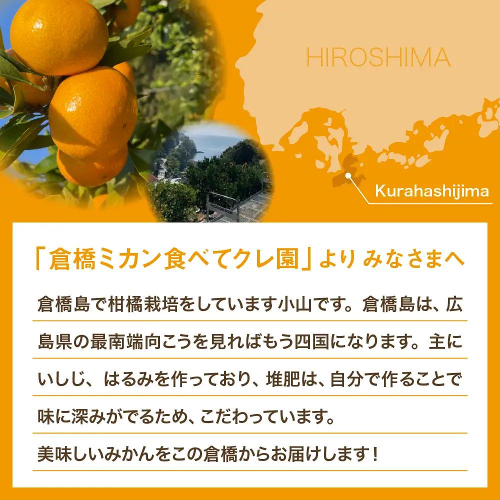 先行受付 2027年1月下旬～発送 はるみ 約2.5kg 柑橘 みかん