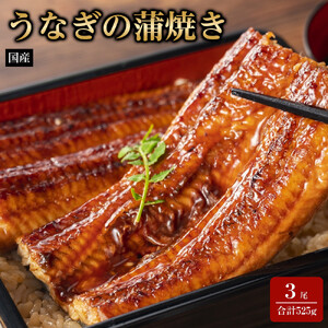 国産うなぎの蒲焼き 3尾（合計525g）