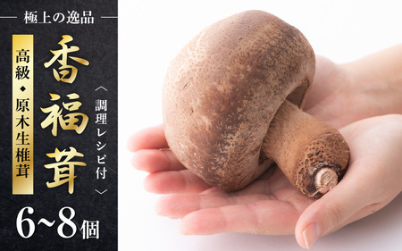 【先行予約】 原木生椎茸「香福茸」6～8個 高級 極上の逸品！調理レシピ有 【2025年1月上旬～2月下旬の間で順次発送予定】 [e06-b002]