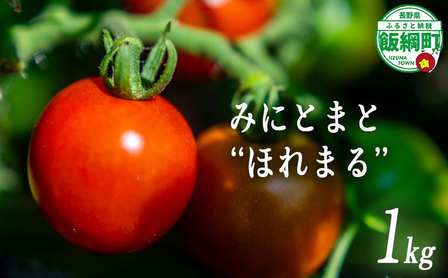 
                  [ クール便 / 冷蔵便 ] 【 NAO's FARM 】 ミニトマト ほれまる 1kg 2026年8月上旬頃から2026年9月上旬頃まで順次発送予定 令和8年度収穫分沖縄県配送不可 株式会社みみずや 元サッカー日本代表 石川直宏 ほれまる 信州 野菜 甘い ミニトマト 産地直送 長野 予約 長野県 飯綱町 [2134]
                