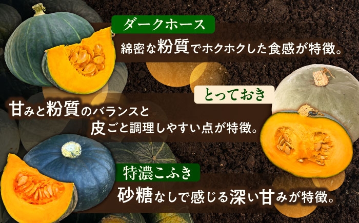 かぼちゃ カボチャ ダークホース とっておき 特濃こふき北海道産 足寄町 北海道