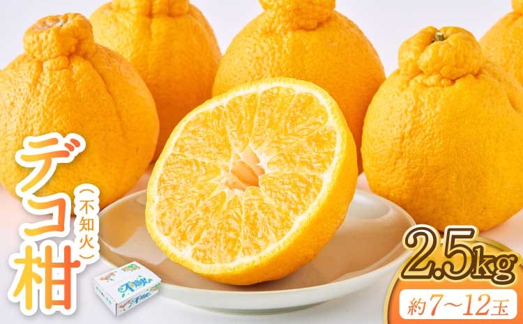 
            先行予約 不知火 果実の宝箱デコ柑不知火 約2.5kg 7玉?12玉 【2026年3月上旬から5月下旬発送予定】 しらぬい 柑橘 みかん ミカン 蜜柑 九州産 熊本県産 宇城市産 国産 田辺農園
          