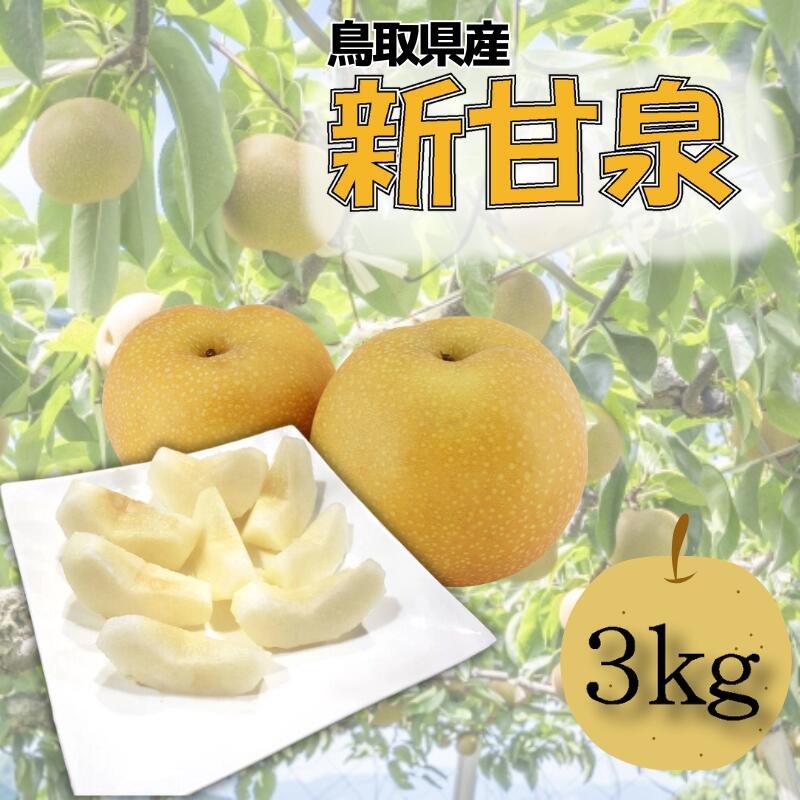 【ふるさと納税】【先行予約】安田農園 梨 ”新甘泉” 3kg箱｜鳥取 梨 なし ナシ 新甘泉 果物 フルーツ 2025収穫 数量限定【41030】