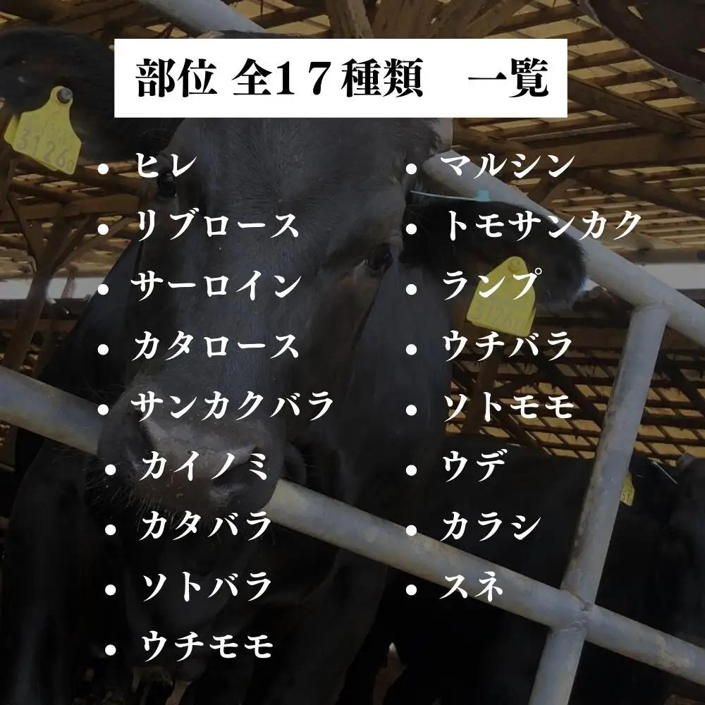【定期便】豊後・米仕上牛 食べつくし【極】 牛