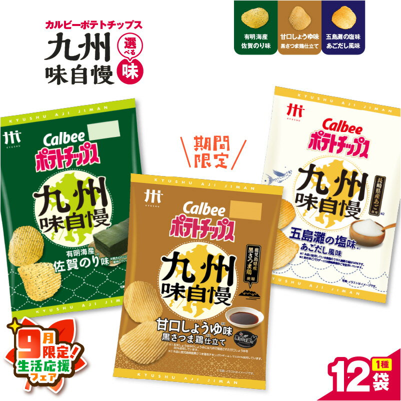 【ふるさと納税】【期間限定 生活応援】＜選べる＞ カルビー ポテトチップス 九州味自慢 五島灘の塩味あごだし風味 有明海産佐賀のり味 甘口しょうゆ味黒さつま鶏仕立て ポテチ チップス 九州 沖縄 限定 Calbee セイカ食品 鹿児島 おすすめ ランキング プレゼント ギフト