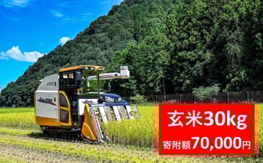 【先行予約】令和7年産 稲場農産 慎ちゃんのお米 コシヒカリ 玄米 30kg×1袋 令和7年産 先行予約 新米予約 コシヒカリ お米 30kg 安心 安全 良質 美味しい お試し 兵庫県 朝来市