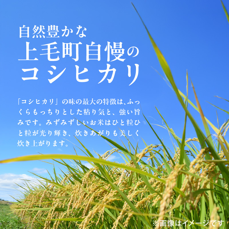 【先行受付】令和8年産　上毛町産　東農園のこだわり米　コシヒカリ　5kg HGS0207