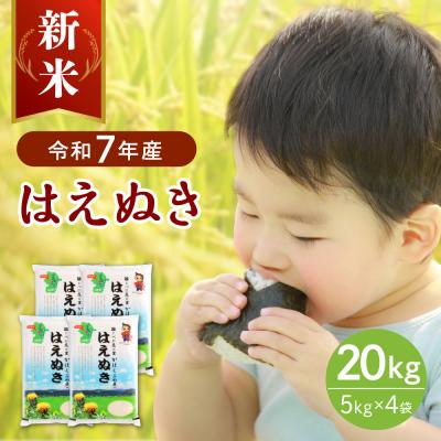 ふるさと納税 河北町 【令和7年産米】2025年11月中旬発送 はえぬき20kg 山形県産 【JAさがえ西村山】