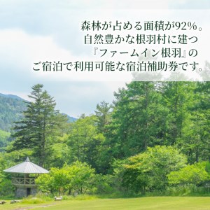 ファームイン根羽 宿泊補助券 (30,000円分) コテージ 旅行