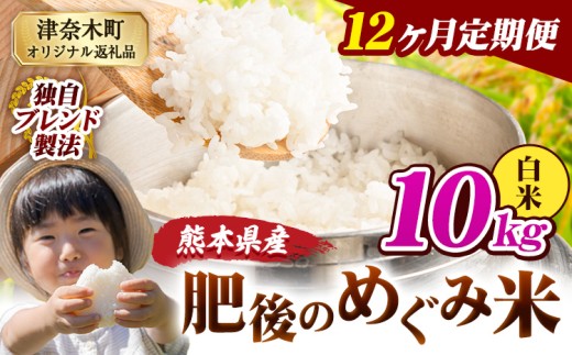 【12ヶ月定期便】白米 熊本県産 ブレンド米 肥後のめぐみ米 10kg 熊本県産 ふるさと納税 精米 米 こめ ふるさとのうぜい コメ お米 おこめ《お申込み翌月から出荷》