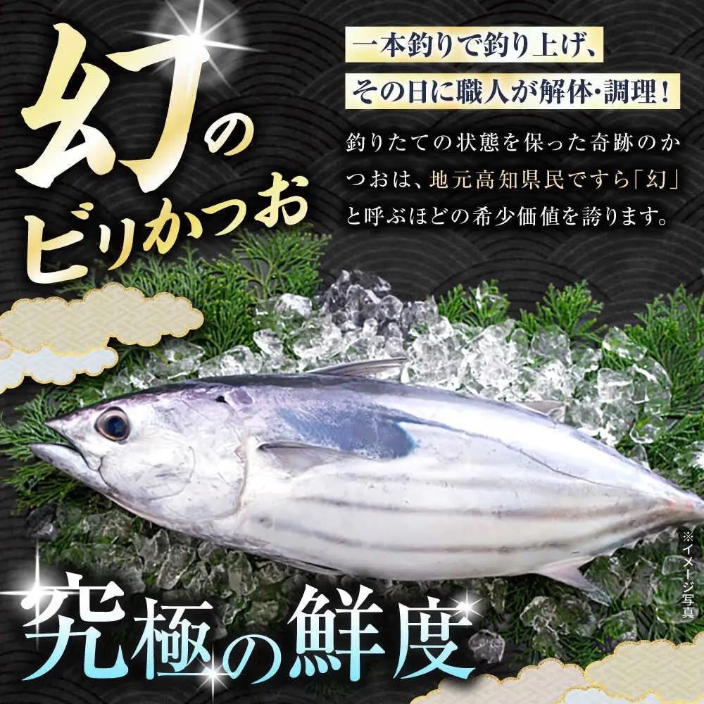 【冷蔵】びりガツオたたきと刺身 約250g/節 2節  冷蔵 かつおのたたき 鰹カツオ 魚 さかな 海鮮 魚介類 本場 土佐 個包装 ふるさと納税カツオ 高知県 高知市 刺し身 天然 【ゆず庵2】[A