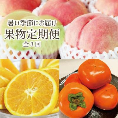 ふるさと納税 北山村 【発送月固定定期便】暑い季節にお届け!果物定期便 バレンシアオレンジ・桃・柿【tkb142】全3回
