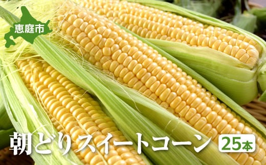 『★先行予約★8月初旬より順次発送』朝どり スイートコーン 25本 北海道産 とうもろこし ふるさと納税 北海道 恵庭市【31000102】