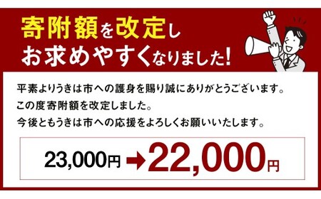 《令和7年産》 福岡県産 夢つくし 無洗米 10kg （5kg × 2袋） こめ コメ ごはん ご飯 コシヒカリ キヌヒカリ 白米 令和7年度米 単一原料米 ブランド米 福岡県 うきは市 常温