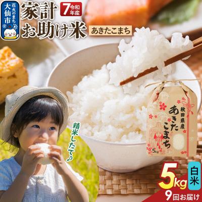 ふるさと納税 大仙市 定期便9ヶ月 白米 家計お助け米 あきたこまち 5kg  R8年|22_kml-060509