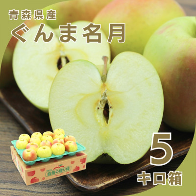 【10月下旬より発送開始】産地直送 青森県産ぐんま名月 5キロ箱 10～23玉 青森県産りんご【配送不可地域：離島】
