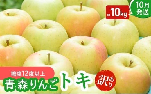 【10月発送】（糖度12度以上） 訳あり品 家庭用 トキ 約 10kg 【 青森りんご 果物類 美味しい 採れたて 選りすぐり 高糖度 12.5度 ご家庭用 甘さ 驚き 果汁 土壌 肥料 プレセント  】