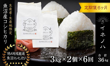 ＜定期便・全6回＞【令和6年産】魚沼産コシヒカリ「イネノハ 」精米(3kg×2)×6回