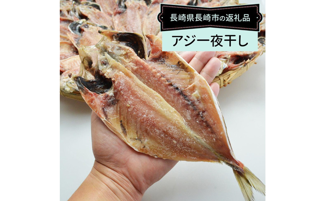 【最長2ヵ月前後】真アジ一夜干し 21尾 ／ 海鮮 魚介 干物 ひもの あじ 鯵 アジ 長崎県 長崎市