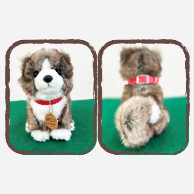 ふるさと納税 大館市 <よちよちあきた>秋田犬虎毛ぬいぐるみ　座り　Sサイズ |  | 01