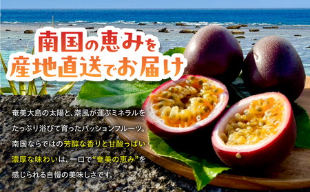 【 2026年 先行予約 】【 情熱のタマ 】 奄美産 パッションフルーツ 1.5kg （ 18玉前後 ） A203-001-01 フルーツ 果物 果実 期間限定 限定 甘酸っぱい 濃厚 美味しい お