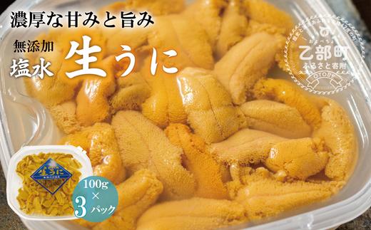 ＜小川の塩水ウニ　100g×3パック＞　ミョウバン不使用！工場直送