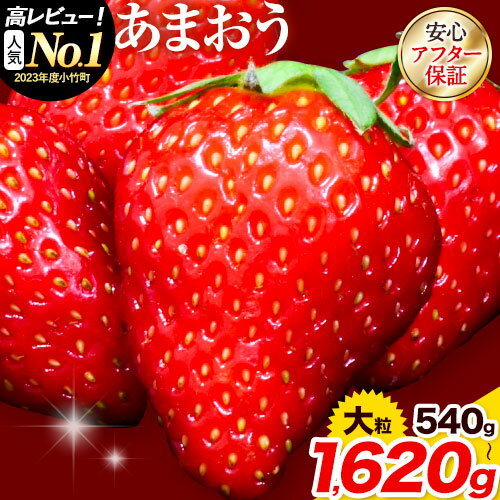 あまおう いちご 540g から1620g 選べる