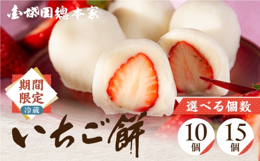 ランキング1位 ＼冬季限定／ いちご大福 いちご餅 ≪選べる容量≫ 15個入 苺大福 苺 いちご イチゴ大福 もち お餅 和菓子 冬限定 限定 スイーツ デザート 白あん あんこ プレゼント ギフト 贈り物 18000円 1万8千円 郭町 金蝶園総本家 岐阜県 大垣市