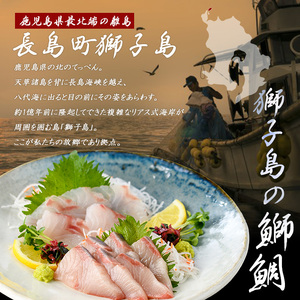 獅子島産 百年漁師の真鯛 炙り刺身サク (約100g×6パック) 【島のごちそう】gochi-1330
