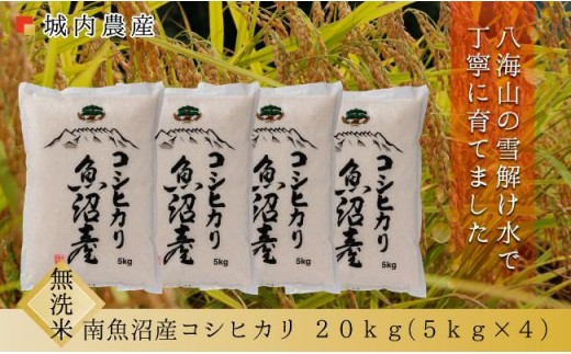 【令和８年産新米予約】南魚沼産コシヒカリ 無洗米２０ｋｇ【５割減農薬栽培米】城内農産 【銘柄米 ブランド米 無洗米 こしひかり コシヒカリ 魚沼産 新潟米 産地直送 お米 米 こめ コメ】【2026年9月下旬から1ヶ月以内に順次発送予定】