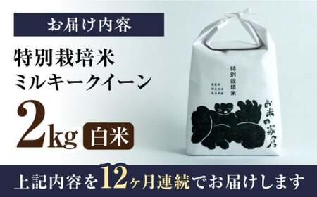 【令和6年度産】【全12回定期便】特別栽培米ミルキークイーン　2kg白米×12回　滋賀県長浜市/株式会社お米の家倉[AQCP028] 白米 白米 白米 白米 白米