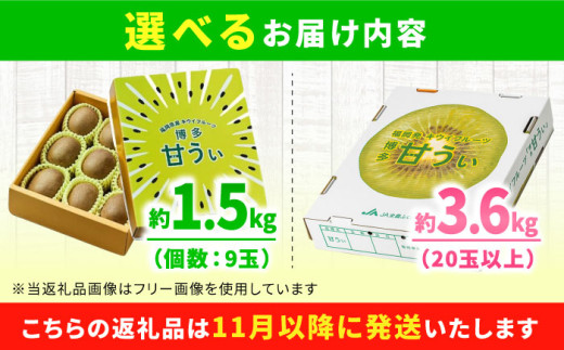 博多甘うぃ。キウイ