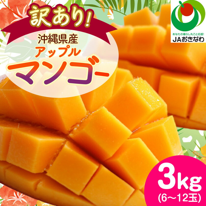 【ふるさと納税】【2026年6月から順次発送・訳あり】アップルマンゴー3.0kg(6～12玉)_ マンゴー フルーツ 果物 くだもの アップルマンゴー 人気 おすすめ 送料無料 訳あり 数量限定 期間限定 傷 規格外 完熟 沖縄県 冷蔵 【配送不可地域：離島】【1494041】