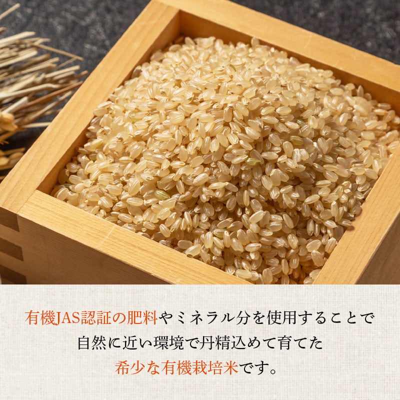 米 3回 定期便 令和7年産 つや姫 10kg 有機JAS 玄米 [農家の蔵出し米生産組合 山形県 高畠町 tk06ays900013] コメ ご飯 ごはん お米 ブランド米